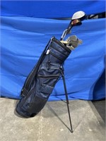 Wilson Irons and Wedge golf clubs with bag