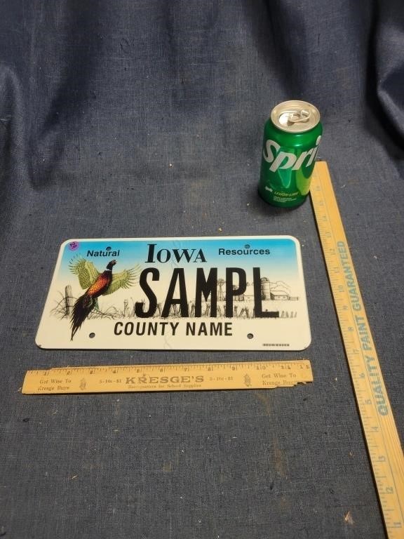 Iowa Natural Resources Sample License Plate