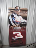 Dale Sr. Hershey's Salute Stand-Up