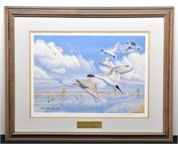 Framed Print of VALLEY CARE PINTAILS By Steele