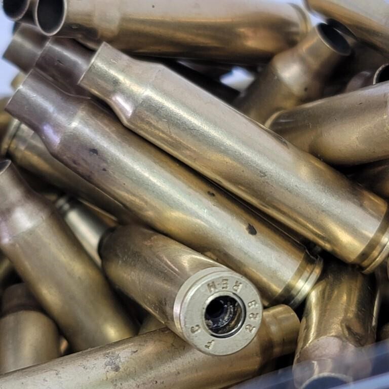 (200) 223 Cal. Polished Brass Casings