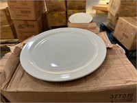 Bid x 168 ITI BR-16 10 3/8" Plate - Porcelain
