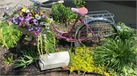 SCHWINN BIKE ON DISPLAY WITH FLOWER BASKET VF-