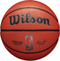 wilson Signature Series Indoor/Outdoor NBA