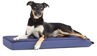 Barkbox Memory Foam Platform Dog Bed | Plush