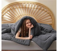 Bedsure Oversized Queen Comforter Duvet Insert -