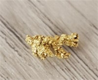 Natural Alaska Gold Rush Nugget #2