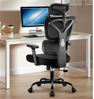 Winrise Office Chair Ergonomic Desk Chair