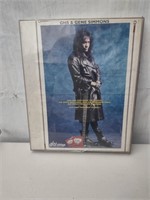 Gene Simmons GHS Strings Ad Picture
