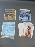 Assortment of Post Cards