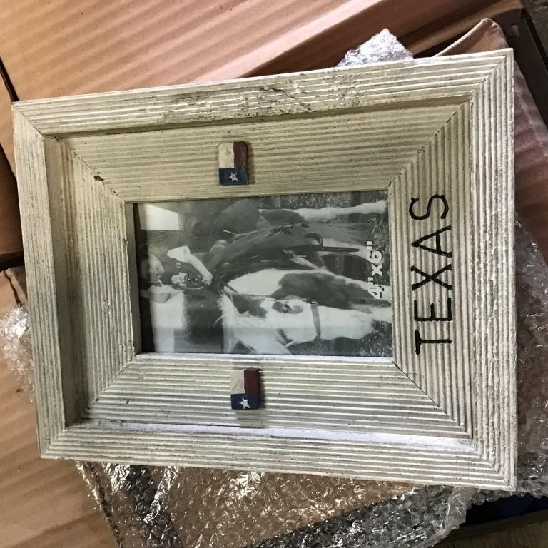 4 NEW Texas 4x6 Frames