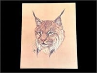 Vintage E. Major Lynx Cat Print