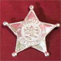 Deputy Sheriff Plastic Badge Pin