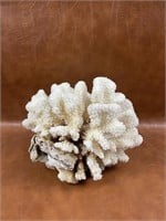 2 Pound Large White Coral, Large Coral Tree