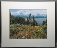 Large Framed Alpine Wild Flower Photograph- Signed