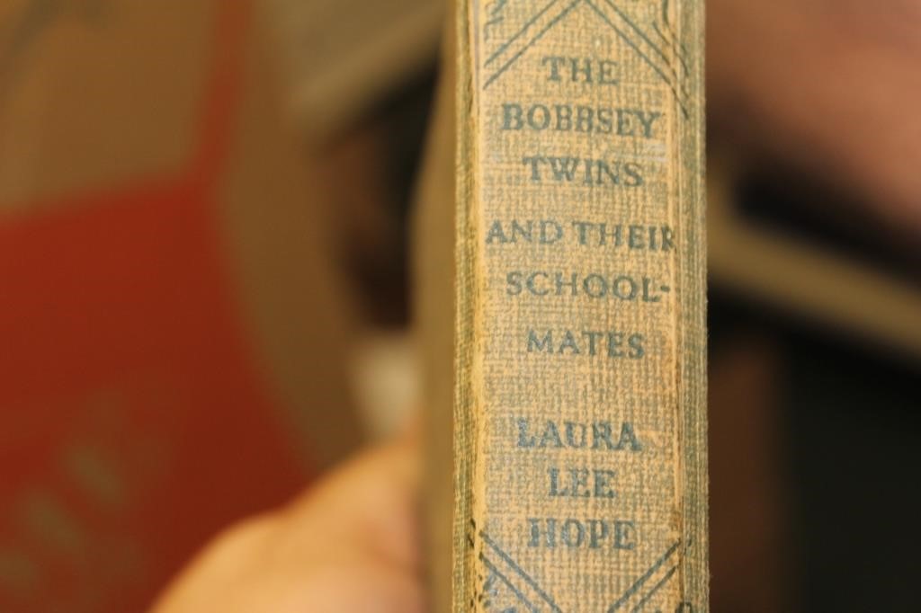 Book: The Bobbsey Twins and Their School Mates
