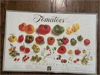 Framed Tomatoes Poster