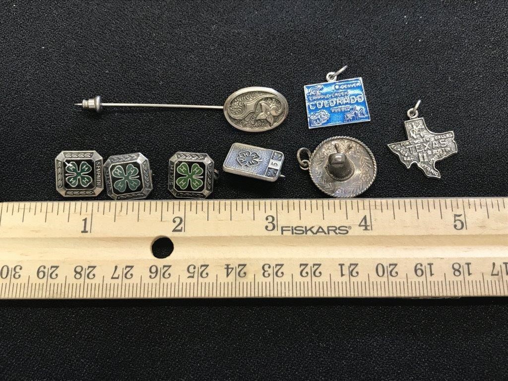 Sterling Silver Pins & Charms