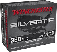 Winchester Ammo W380ST Silvertip  380 ACP 85 gr Si