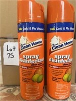 Disinfecting Spray Citrus 538g x2