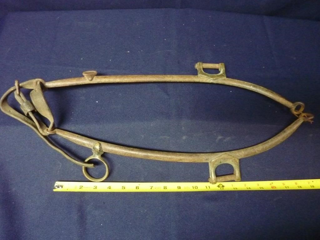 PAIR OF METAL HAMES WITH BRASS FITTINGS