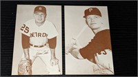 2 1962 Baseball Exhibit Card Stats Hoak Cash