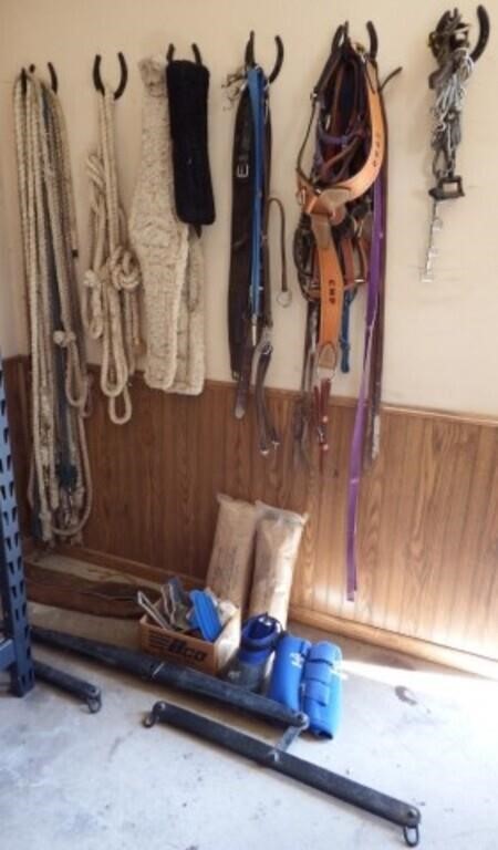 Horse Tack - Lead Ropes, Bits, Halters & More
