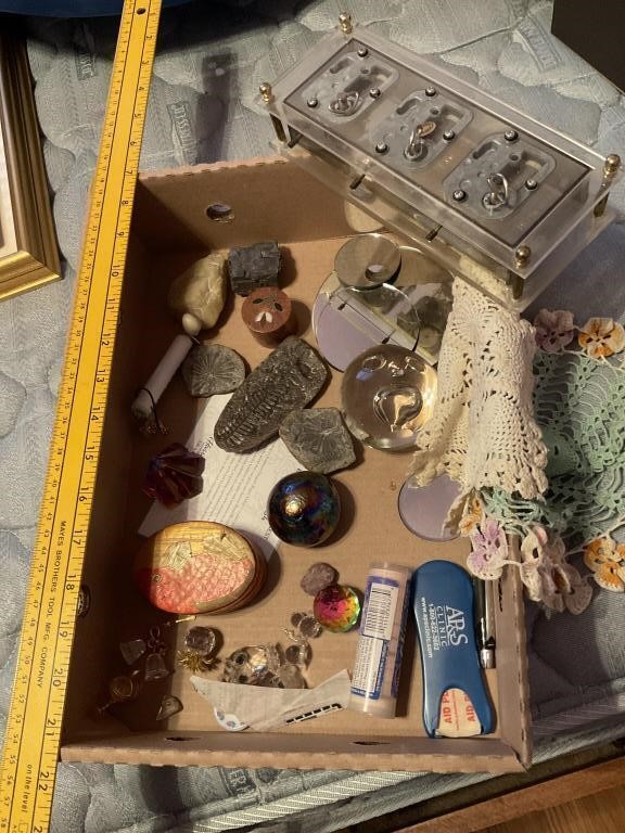 Rocks, Fossils, Paperweight & More
