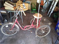 DeSoto 3 Wheel Bike Trike