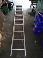 12' Aluminum Ladder