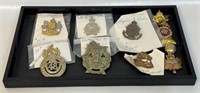 GOOD COLLECTION OF CANADIAN MILITARY BADGES'