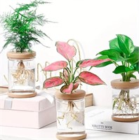 Set of 3 , 2.5'' Transparent Hydroponic Flower Pot