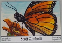2013 Viceroy Insectae Contrasting Styles card CS-2