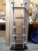 Werner 21' ladder