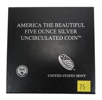 2011-P America the Beautiful -Five Ounce Silver