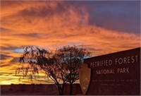 45 Minutes to the Petrified Forest National Park!
