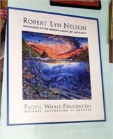 Pacific Whale Foundation Framed Print Nelson