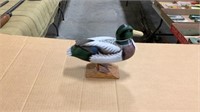 Green headed teal on stand