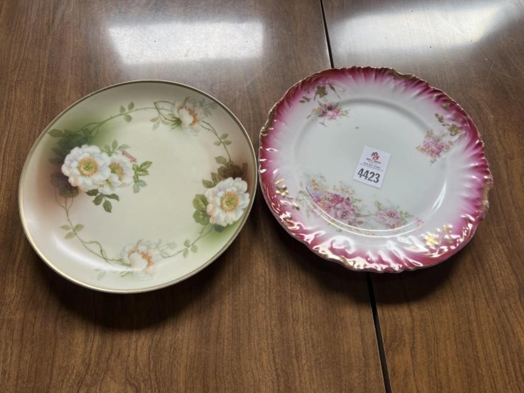 2 Barvaria plates