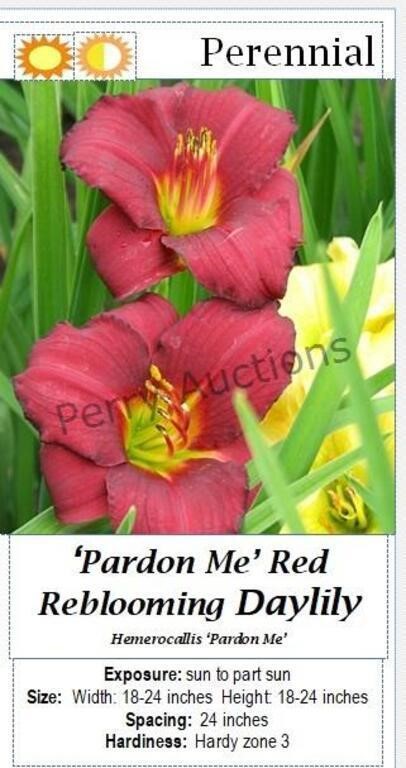 ONLINE ONLY Plant & Flower Auction