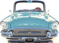 Classic 1950s Blue-Green Surf Larkspur Car Standee