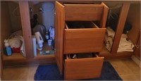 L - EVERYTHING IN THE CABINET & DRAWERS (N17)