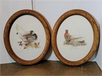 Pair of Oval Framed Bird Prints