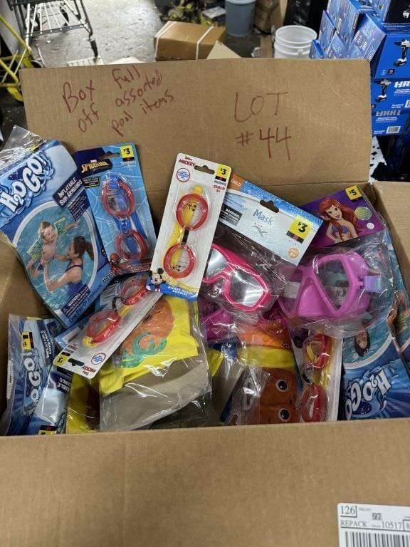 box of assorted pool items