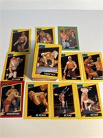 Huge lot of 1990’s WCW Wrestling cards Sting Flair