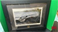 Framed Picture - Pair of Loons, Ducks Unlimited