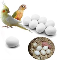 (New)FOIBURELY 8 Pcs Solid Parrot Dummy Eggs