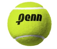 Penn Pressureless Tennis Balls in Plastic Bag - 17