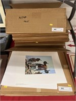 Collection of PA Game Commission Duck Stamp Prints