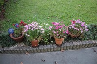 4 Flower pots with flowers